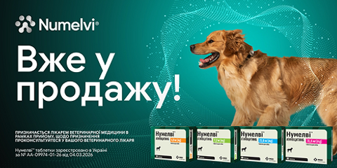 Нумелві