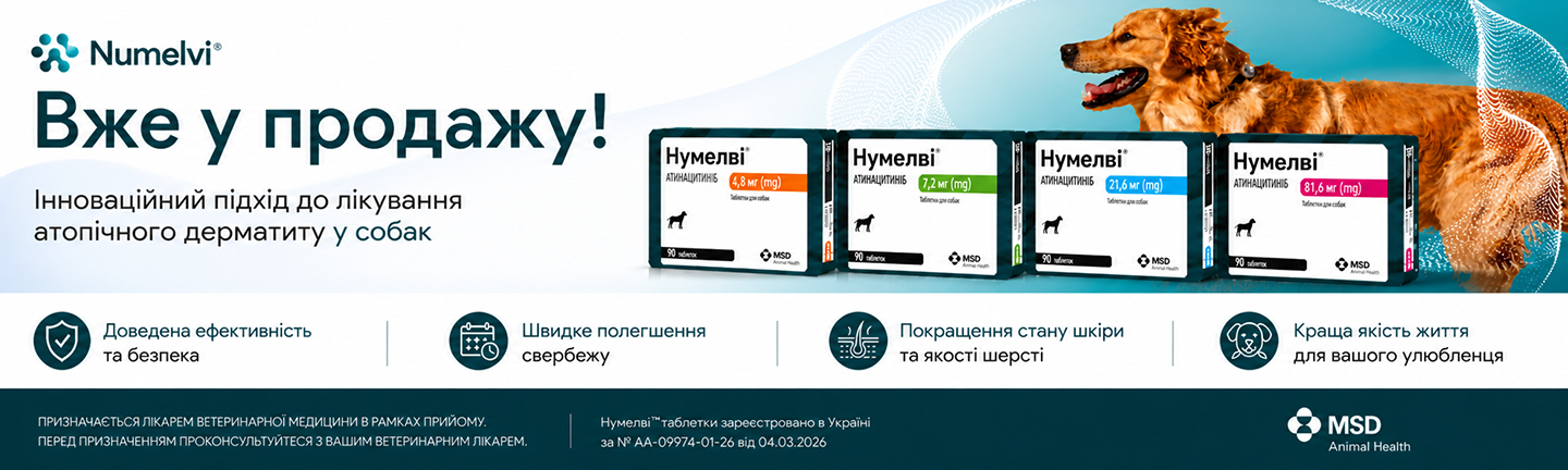 Нумелві