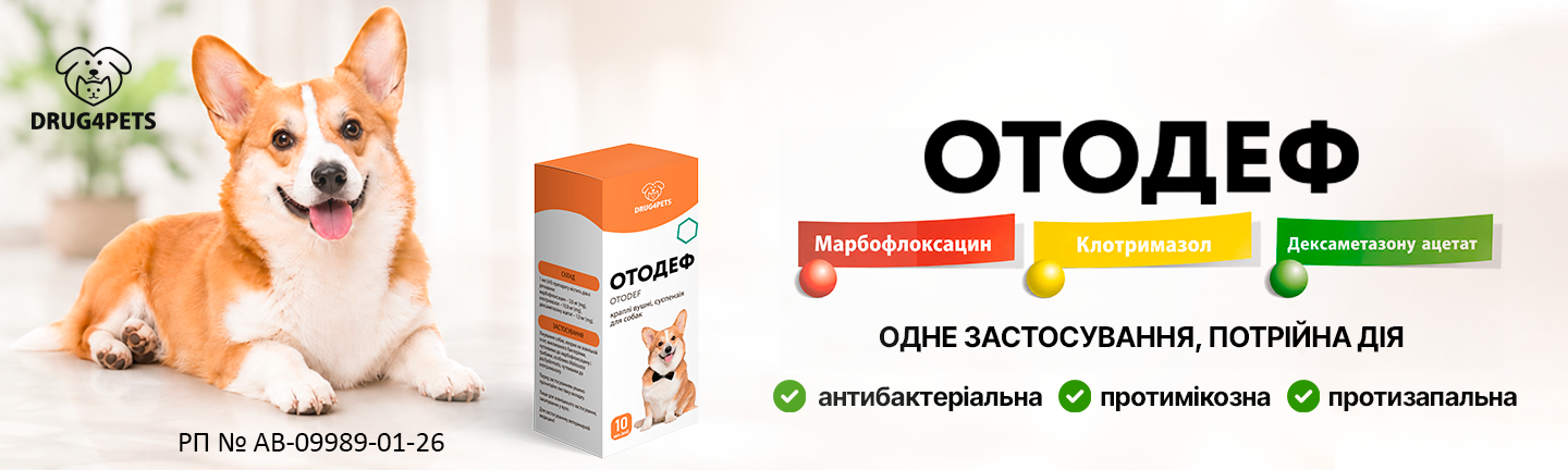 Отодеф