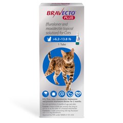 Бравекто плюс 250 мг для котов 2,8-6,25 кг_Акция MSD США