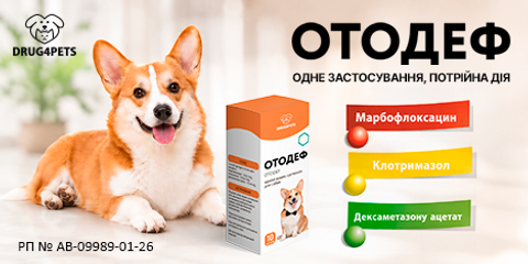 Отодеф