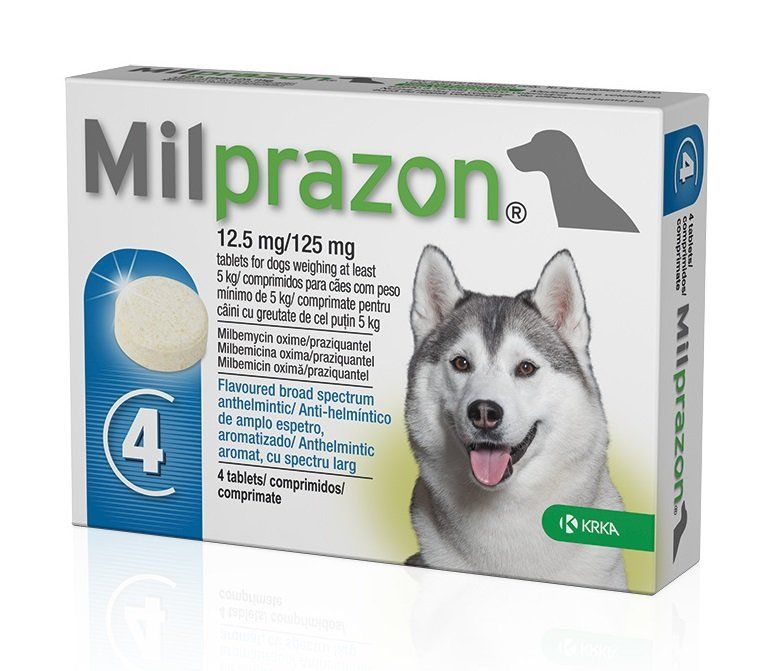 Милпразон (Milprazon) для собак больше 5 кг, 12,5 мг/125 мг, 4 таб KRKA Словения