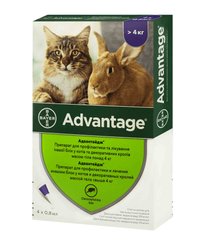 Фото Адвантейдж (Advantage) капли от блох для кошек весом более 4 кг, 0,8 мл, 4 пипетки Elanco США